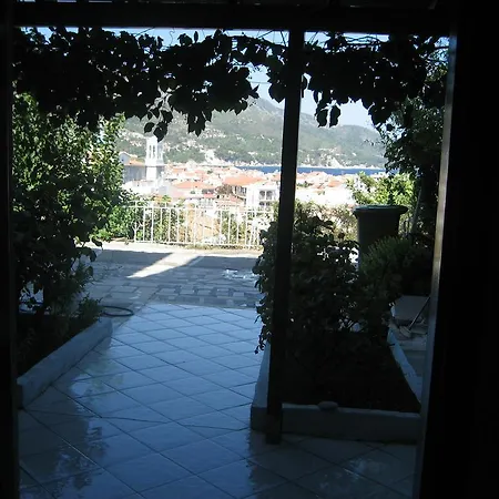 Kamelia * Kokkari